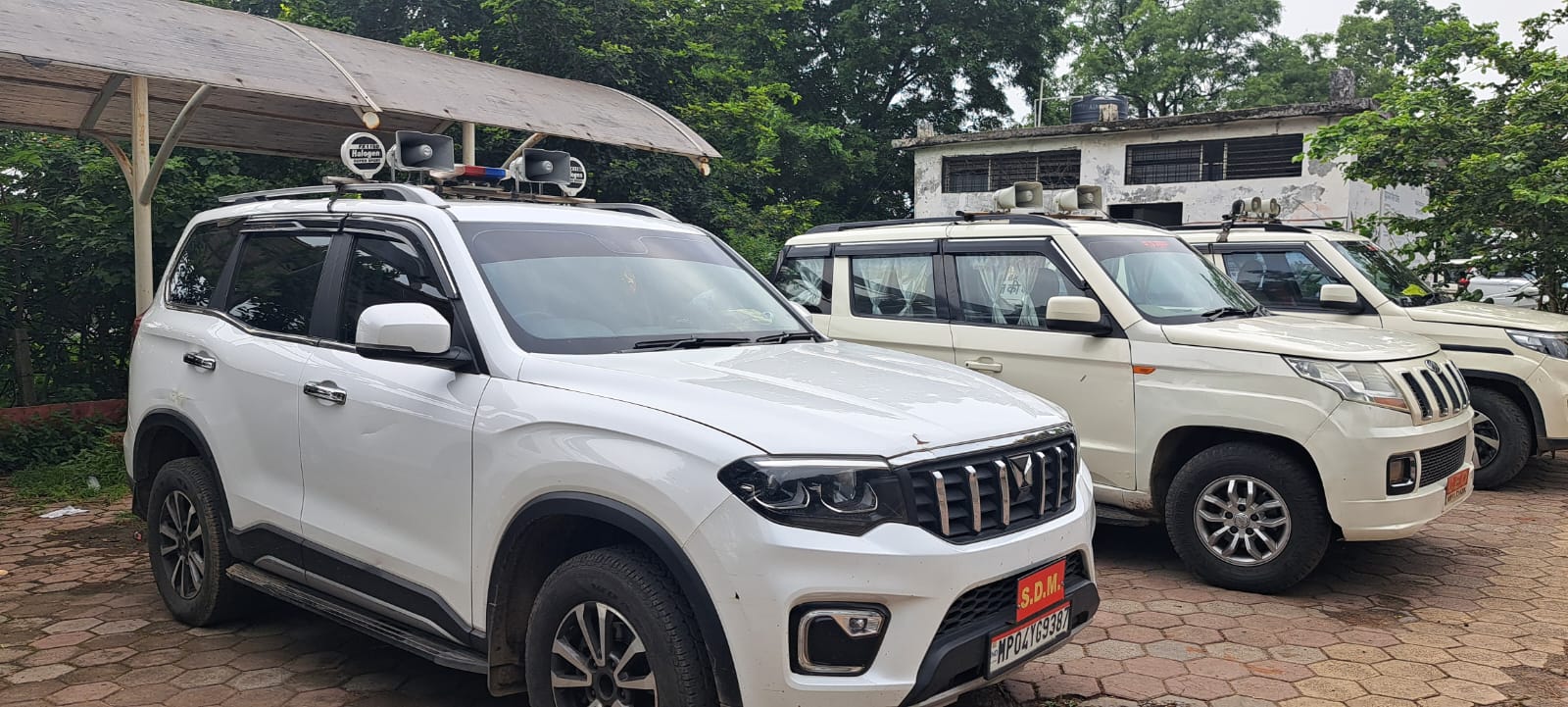 वीआईपी कल्चर के आगे बेबस आरटीओ : अधिकारियों की गाड़ियों पर सरेआम काली फिल्में