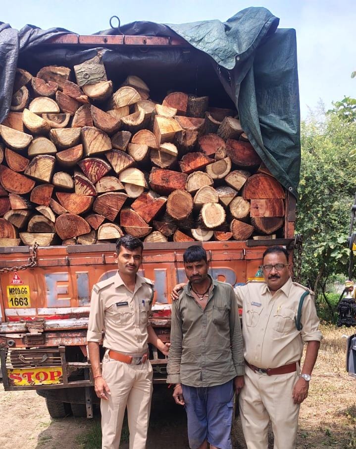 बिना कागजात दौड़ रहा था 75 क्विंटल अवैध लकड़ी से लदा आयशर…..उड़नदस्ते ने पकड़ा